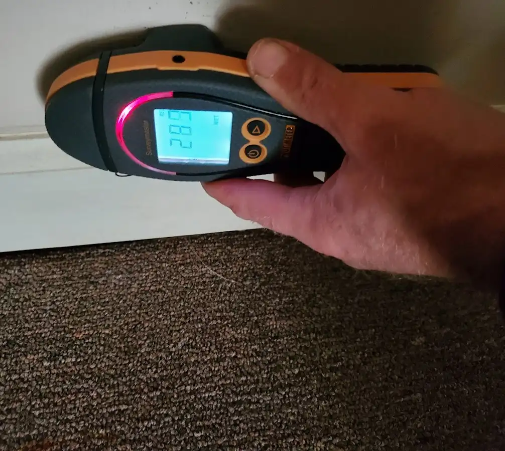 Moisture detection at baseboard during Mold Inspection & Testing in Mead Valley